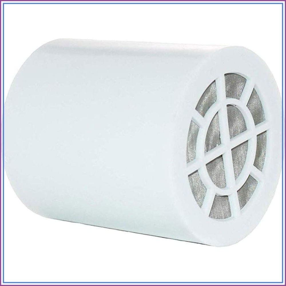 Health & Wellness Fair 2025 - New Wave Enviro Shower Filter Replacement