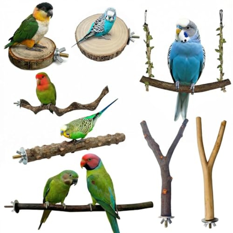 8PCS natural wood bird perches – обзор и цена Health & Wellness Fair 2025